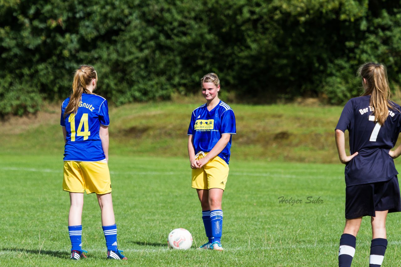 Bild 254 - Frauen TSV Gnutz - SG Slfeld/Oe/Se/Stu : Ergebnis: 2:3